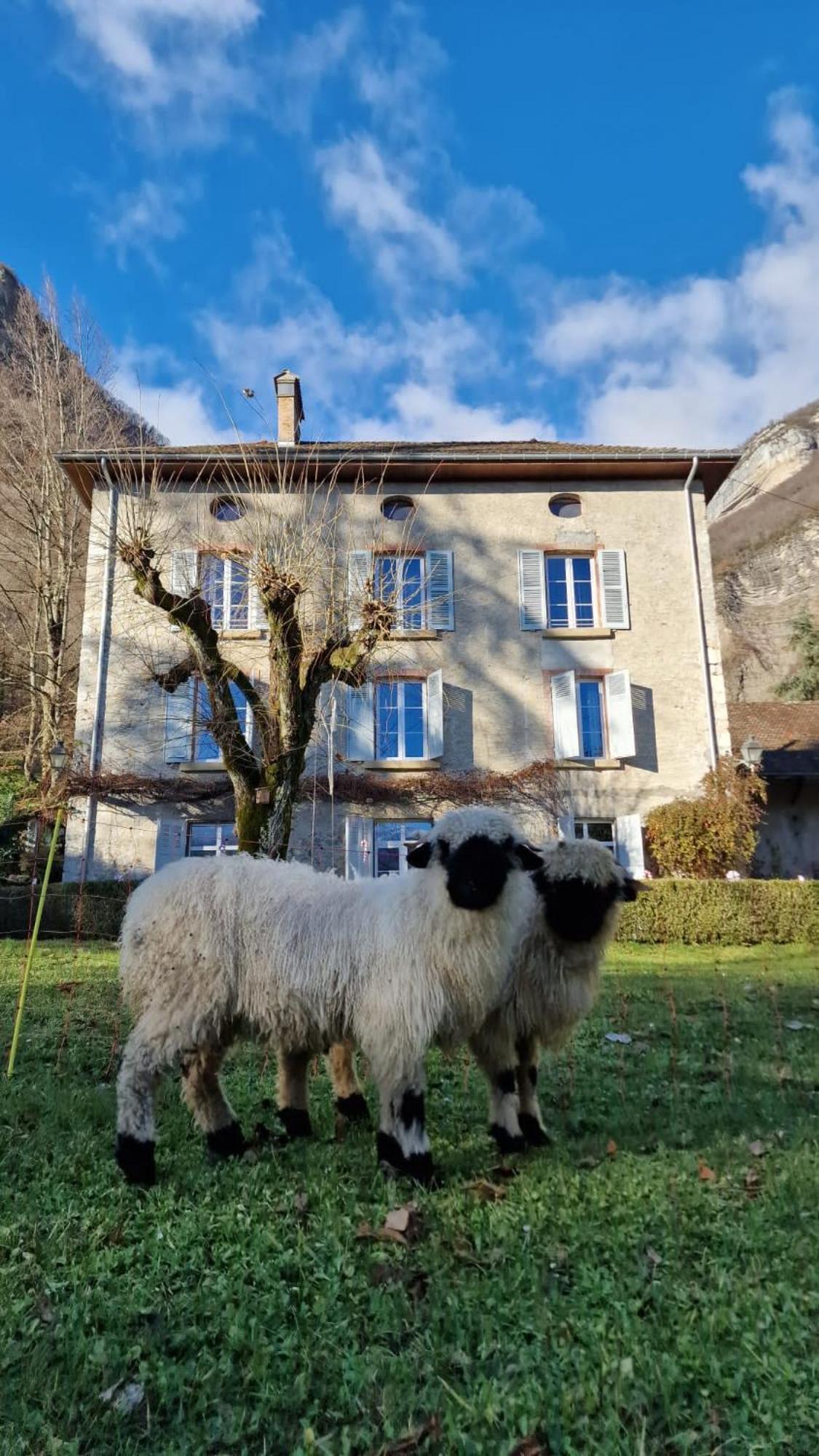 Chateau Monts Blancs Lumbin Exterior photo